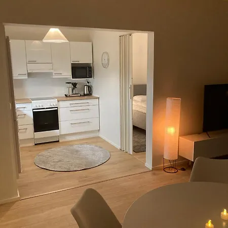 Center 2 * 罗瓦涅米